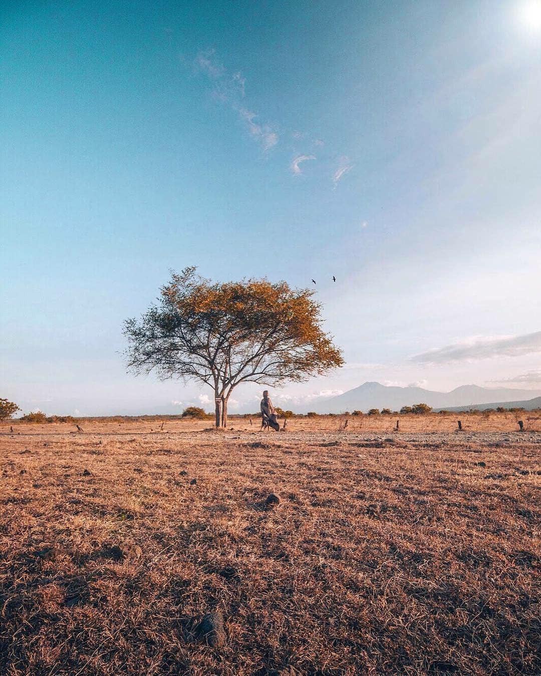 Baluran